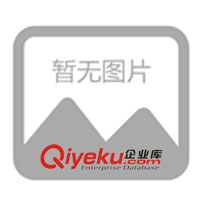 誠征潔靜牌汽車靜電xc器、除靜電鑰匙圈各省市總代理